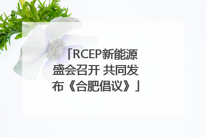 RCEP新能源盛会召开 共同发布《合肥倡议》